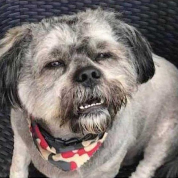 Meet your Posher, Johnathon - Picture 1 of 1